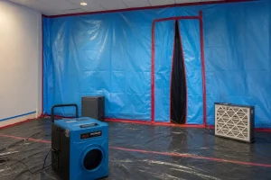 Mold remediation options and containment setup in Louisville KY home